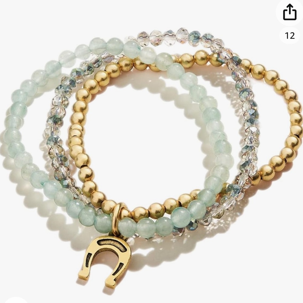 Alex and Ani Token of Luck Charm bracelet